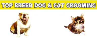 Top Breed Dog & Cat Grooming