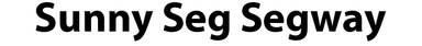Sunny Seg Segway