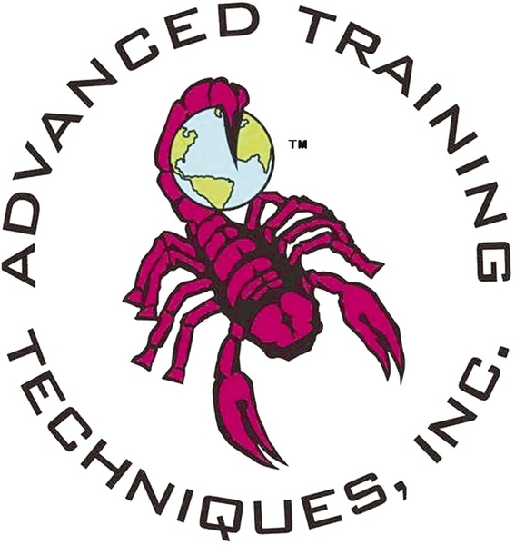 Advanced training Techniques